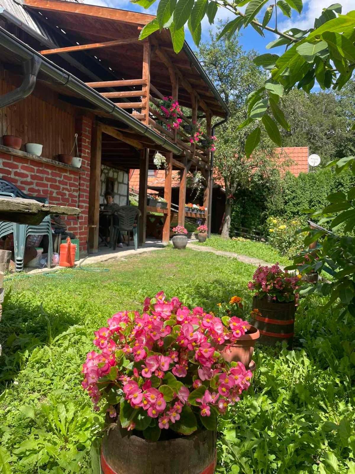 Dedina Kuca 1937 Apartment Mokra Gora Ngoại thất bức ảnh